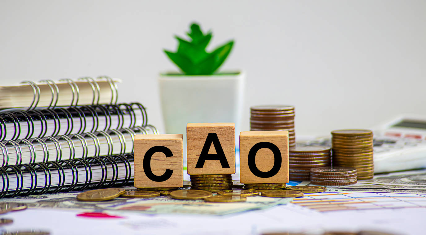 PGGM CAO