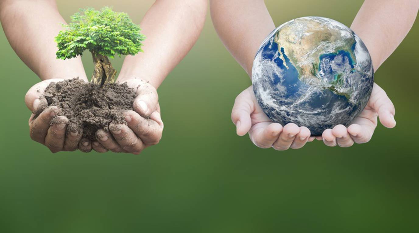 Sdg (1)