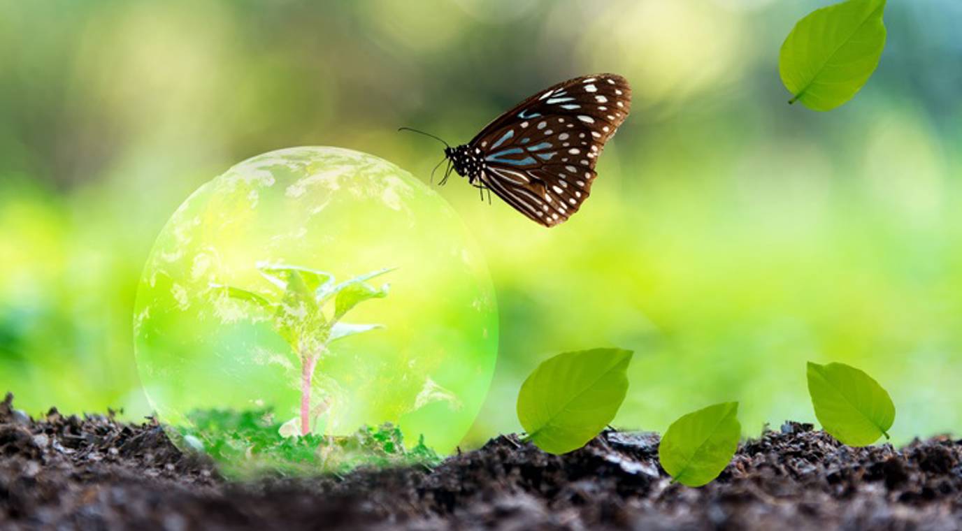 Biodiversiteit.2