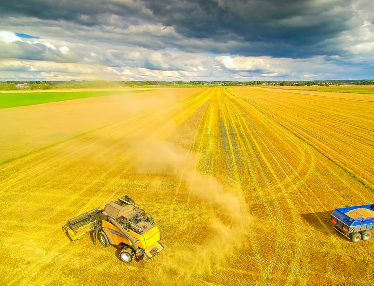 Food Agri