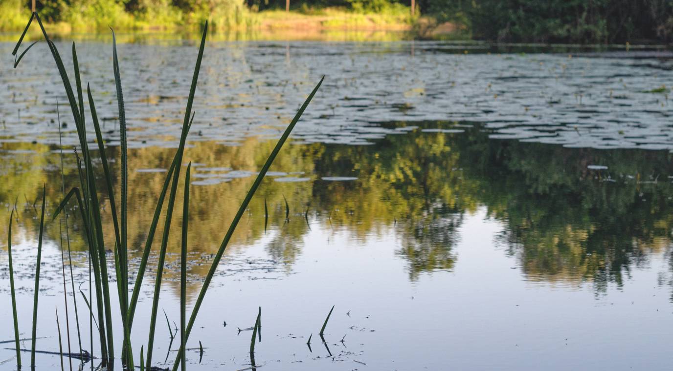 Biodiversiteit.8
