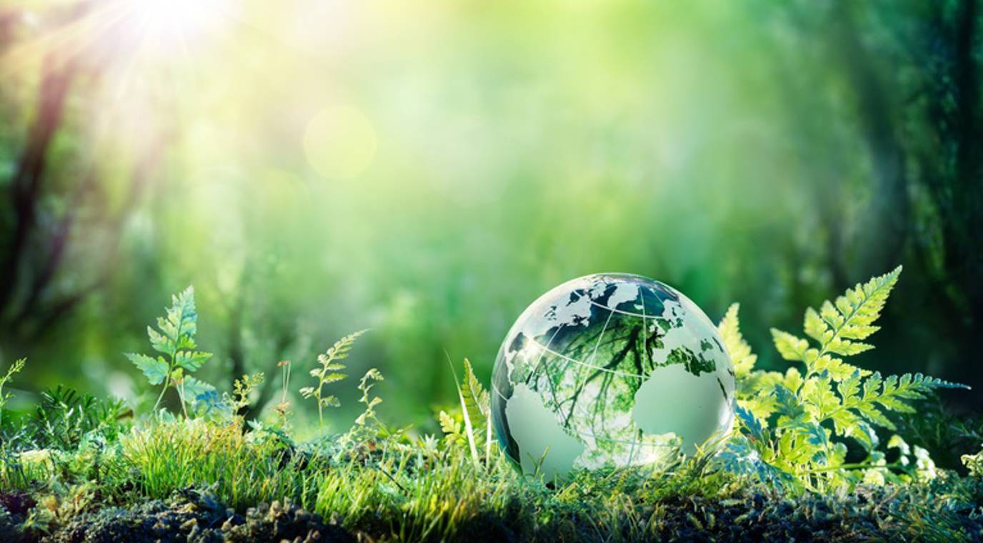 Greenbonds 5